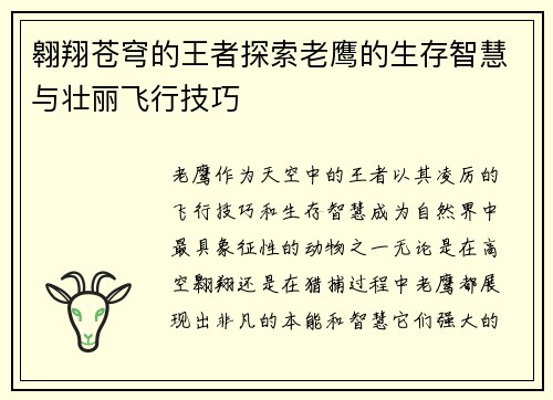 翱翔苍穹的王者探索老鹰的生存智慧与壮丽飞行技巧