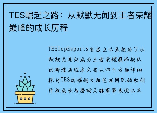 TES崛起之路：从默默无闻到王者荣耀巅峰的成长历程
